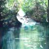 133. Our Pond (Print) - Marietjie Viljoen Art