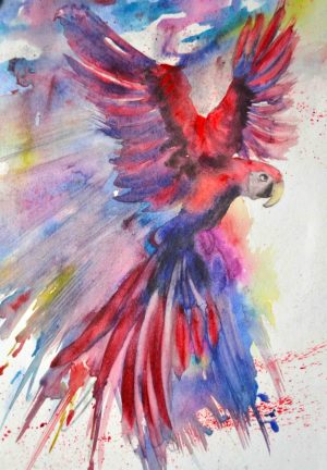 153. Parrot In Splash Of Colour (Print) - Marietjie Viljoen Art