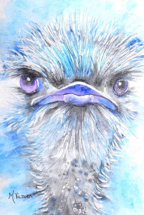 156. Pidantic Paul (Print) - Marietjie Viljoen Art