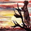 192. Shaka At Sunset (Print) - Marietjie Viljoen Art