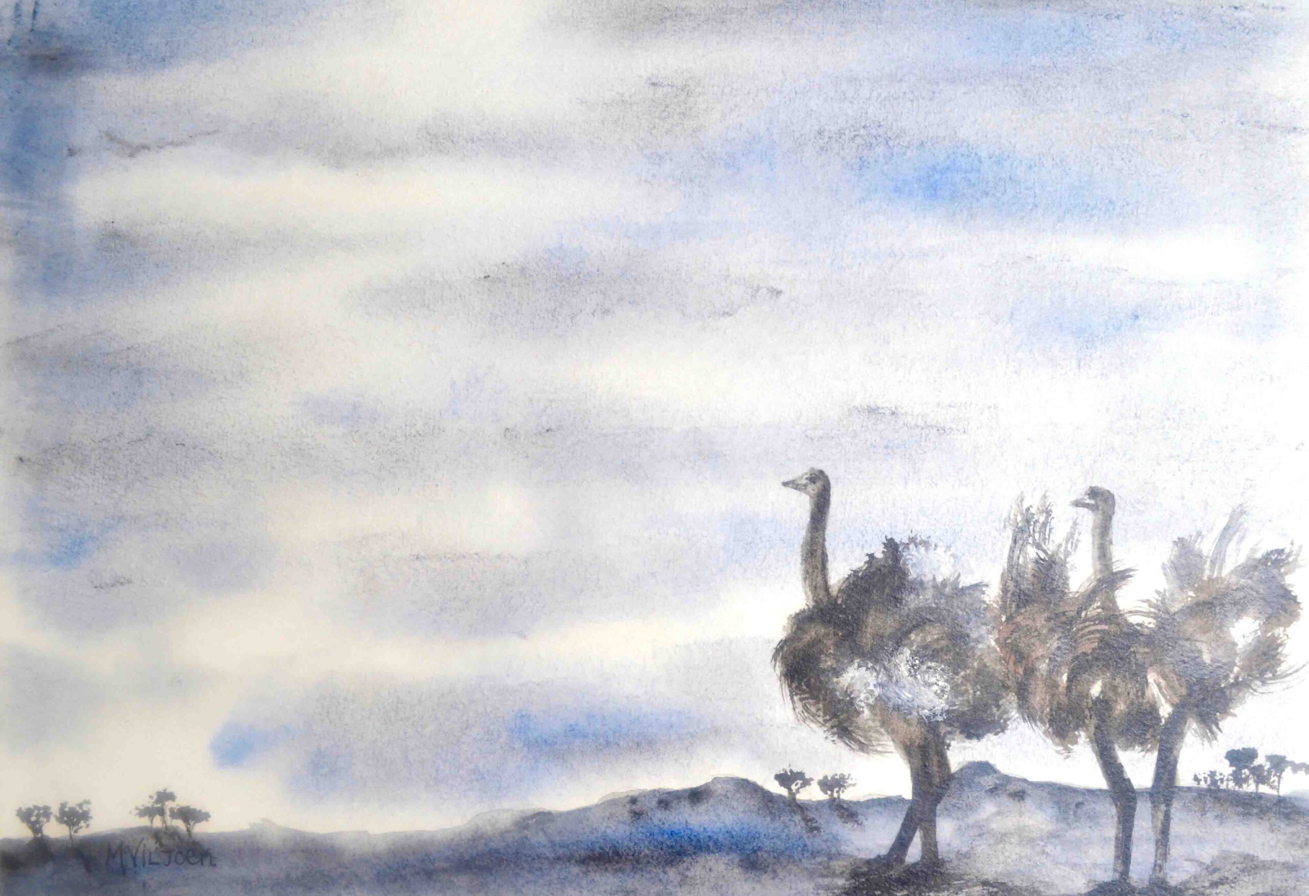 197. Mr And Mrs Feathers At Sunset (Print) - Marietjie Viljoen Art