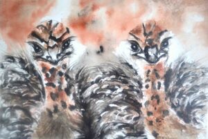 204. Mrs Lilly's Twins (Print) - Marietjie Viljoen Art