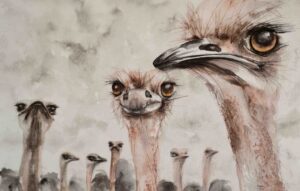 222. Volstruis Selfie (Print) - Marietjie Viljoen Art