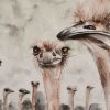 222. Volstruis Selfie (Print) - Marietjie Viljoen Art