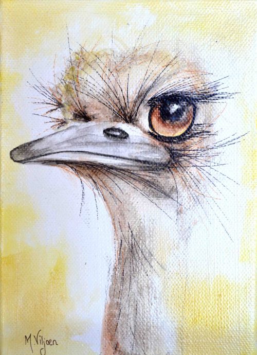 225. Louise - Ostrich (Print) - Marietjie Viljoen Art