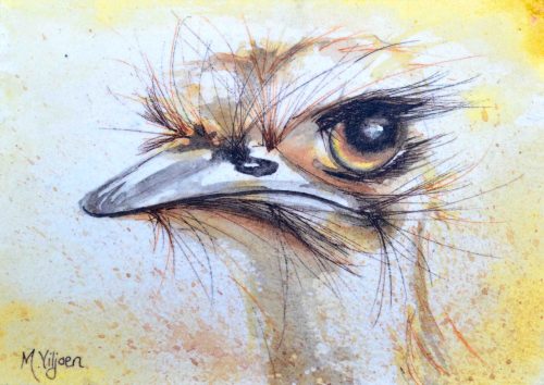 226. Sunshine (Print) - Marietjie Viljoen Art