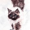 245. Miss Perrrfect (Print) - Marietjie Viljoen Art