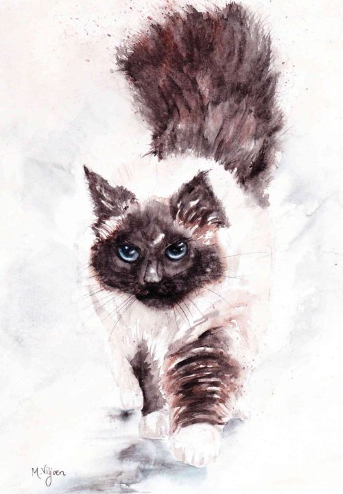 245. Miss Perrrfect (Print) - Marietjie Viljoen Art