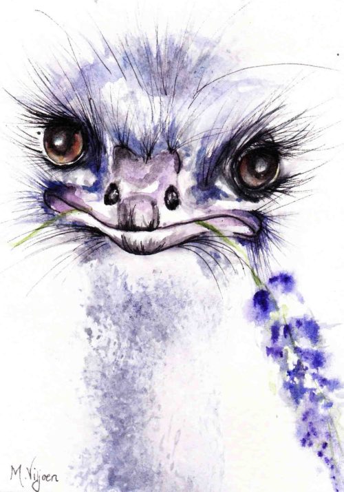 255. Lavender (Print) - Marietjie Viljoen Art