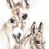 268. Donkeys From De Rust - Marietjie Viljoen Art