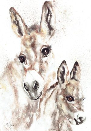 268. Donkeys From De Rust - Marietjie Viljoen Art