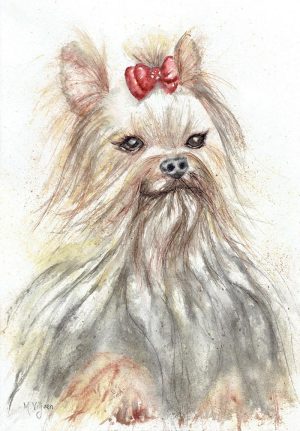 269. Beautiful Beau - Marietjie Viljoen Art