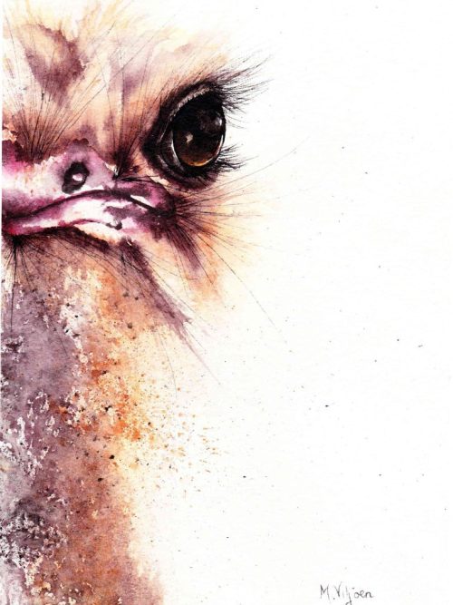 253. Rusty (Print) - Marietjie Viljoen Art