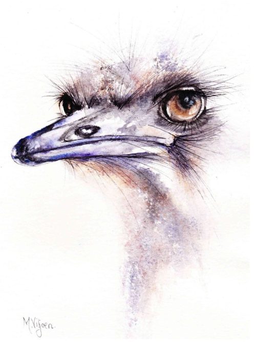 251. Merlot (Print) - Marietjie Viljoen Art