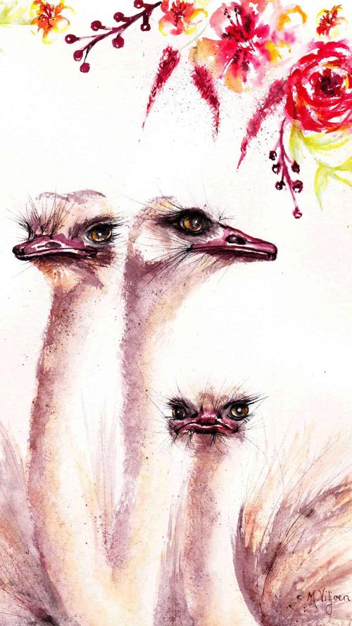 258. Karoo Flowers (Print) - Marietjie Viljoen Art