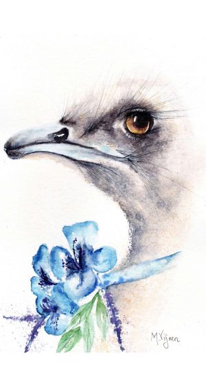 259. Isipho "Gift" (Print) - Marietjie Viljoen Art